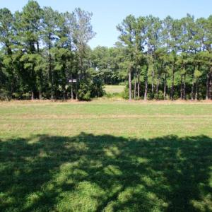 Photo of UNDER CONTRACT!  103 Acres of Hunting and Timber Land for Sale in Accomack County VA!