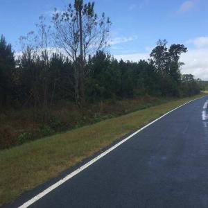 Photo of UNDER CONTRACT!  215 Acres of Prime Hunting Land For Sale in Robeson County NC!