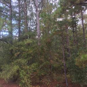 Photo of UNDER CONTRACT!  215 Acres of Prime Hunting Land For Sale in Robeson County NC!