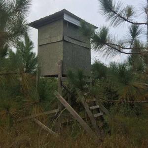 Photo of UNDER CONTRACT!  215 Acres of Prime Hunting Land For Sale in Robeson County NC!