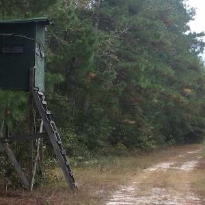 Photo of UNDER CONTRACT!  215 Acres of Prime Hunting Land For Sale in Robeson County NC!