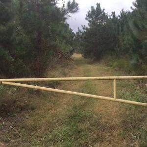 Photo of UNDER CONTRACT!  215 Acres of Prime Hunting Land For Sale in Robeson County NC!