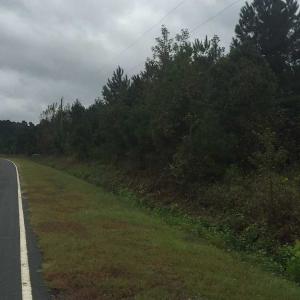 Photo of UNDER CONTRACT!  215 Acres of Prime Hunting Land For Sale in Robeson County NC!