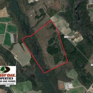 Photo of UNDER CONTRACT!  215 Acres of Prime Hunting Land For Sale in Robeson County NC!