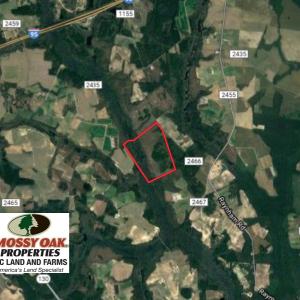 Photo of UNDER CONTRACT!  215 Acres of Prime Hunting Land For Sale in Robeson County NC!