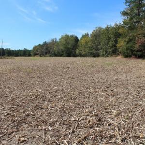 Photo of UNDER CONTRACT!  29 Acres of Residential Farm and Hunting Land For Sale in King and Queen County VA!