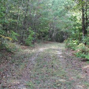 Photo of UNDER CONTRACT!  29 Acres of Residential Farm and Hunting Land For Sale in King and Queen County VA!