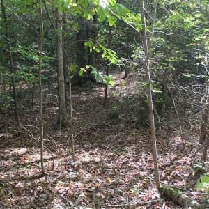 Photo of UNDER CONTRACT!  29 Acres of Residential Farm and Hunting Land For Sale in King and Queen County VA!