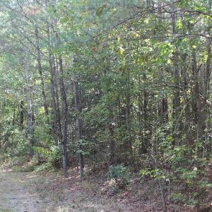 Photo of UNDER CONTRACT!  29 Acres of Residential Farm and Hunting Land For Sale in King and Queen County VA!