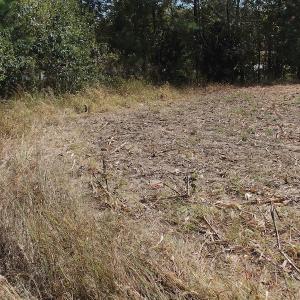 Photo of UNDER CONTRACT!  29 Acres of Residential Farm and Hunting Land For Sale in King and Queen County VA!