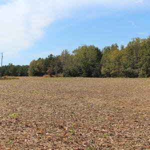 Photo of UNDER CONTRACT!  29 Acres of Residential Farm and Hunting Land For Sale in King and Queen County VA!