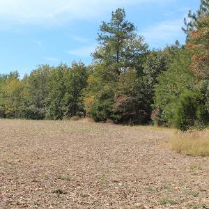 Photo of UNDER CONTRACT!  29 Acres of Residential Farm and Hunting Land For Sale in King and Queen County VA!