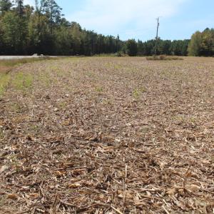 Photo of UNDER CONTRACT!  29 Acres of Residential Farm and Hunting Land For Sale in King and Queen County VA!
