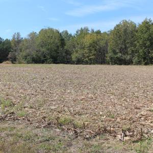 Photo of UNDER CONTRACT!  29 Acres of Residential Farm and Hunting Land For Sale in King and Queen County VA!