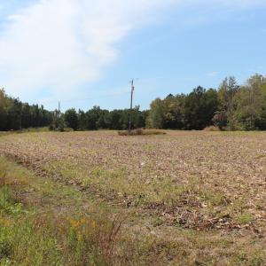 Photo of UNDER CONTRACT!  29 Acres of Residential Farm and Hunting Land For Sale in King and Queen County VA!