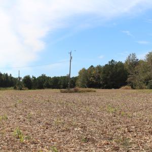 Photo of UNDER CONTRACT!  29 Acres of Residential Farm and Hunting Land For Sale in King and Queen County VA!