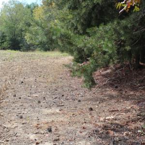 Photo of UNDER CONTRACT!  29 Acres of Residential Farm and Hunting Land For Sale in King and Queen County VA!