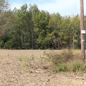 Photo of UNDER CONTRACT!  29 Acres of Residential Farm and Hunting Land For Sale in King and Queen County VA!