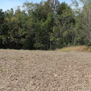 Photo of UNDER CONTRACT!  29 Acres of Residential Farm and Hunting Land For Sale in King and Queen County VA!