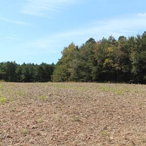Photo of UNDER CONTRACT!  29 Acres of Residential Farm and Hunting Land For Sale in King and Queen County VA!