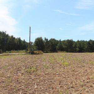 Photo of UNDER CONTRACT!  29 Acres of Residential Farm and Hunting Land For Sale in King and Queen County VA!