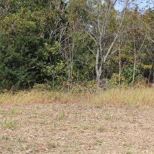 Photo of UNDER CONTRACT!  29 Acres of Residential Farm and Hunting Land For Sale in King and Queen County VA!