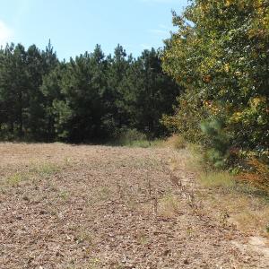 Photo of UNDER CONTRACT!  29 Acres of Residential Farm and Hunting Land For Sale in King and Queen County VA!