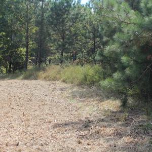 Photo of UNDER CONTRACT!  29 Acres of Residential Farm and Hunting Land For Sale in King and Queen County VA!