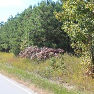 Photo of UNDER CONTRACT!  29 Acres of Residential Farm and Hunting Land For Sale in King and Queen County VA!