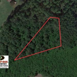 Photo of SOLD!  1 +/- Acres of Recreational Land for Sale in Robeson County NC!