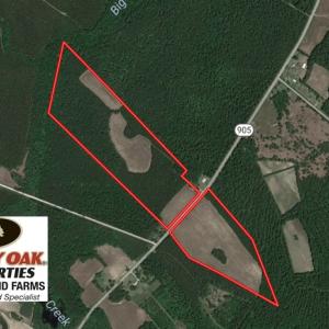 Photo of UNDER CONTRACT!  61.19 Acres of Farm and Timber Land For Sale in Columbus County NC!