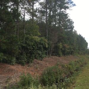 Photo of UNDER CONTRACT!  19.26 Acres of Residential Hunting Land For Sale in Robeson County NC!