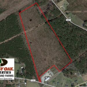 Photo of UNDER CONTRACT!  37.5 Acres of Hunting Land For Sale in Hertford County NC!