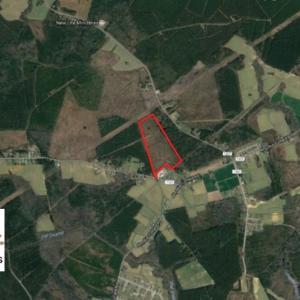 Photo of UNDER CONTRACT!  37.5 Acres of Hunting Land For Sale in Hertford County NC!