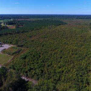 Photo of UNDER CONTRACT!  37.5 Acres of Hunting Land For Sale in Hertford County NC!