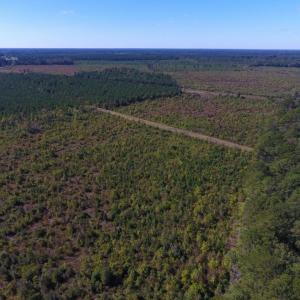 Photo of UNDER CONTRACT!  37.5 Acres of Hunting Land For Sale in Hertford County NC!