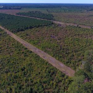 Photo of UNDER CONTRACT!  37.5 Acres of Hunting Land For Sale in Hertford County NC!
