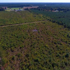 Photo of UNDER CONTRACT!  37.5 Acres of Hunting Land For Sale in Hertford County NC!