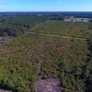 Photo of UNDER CONTRACT!  37.5 Acres of Hunting Land For Sale in Hertford County NC!