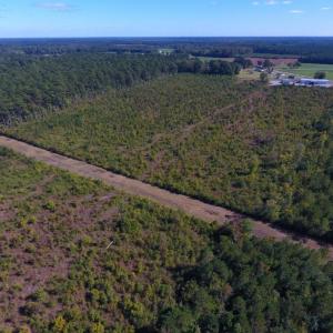 Photo of UNDER CONTRACT!  37.5 Acres of Hunting Land For Sale in Hertford County NC!