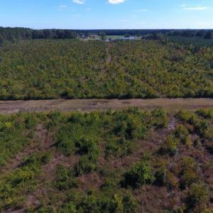 Photo of UNDER CONTRACT!  37.5 Acres of Hunting Land For Sale in Hertford County NC!