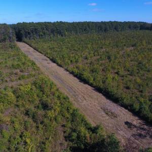Photo of UNDER CONTRACT!  37.5 Acres of Hunting Land For Sale in Hertford County NC!