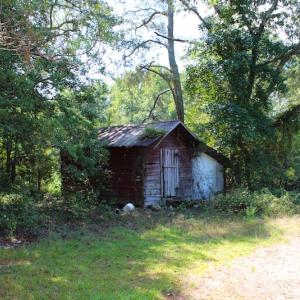 Photo of UNDER CONTRACT!  27.62 Acres of Farm and Timber Land For Sale in Harnett County NC!