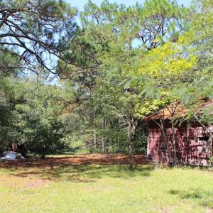 Photo of UNDER CONTRACT!  27.62 Acres of Farm and Timber Land For Sale in Harnett County NC!