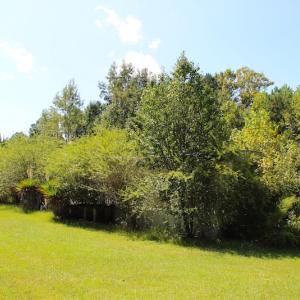 Photo of UNDER CONTRACT!  27.62 Acres of Farm and Timber Land For Sale in Harnett County NC!