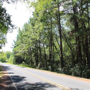 Photo of UNDER CONTRACT!  27.62 Acres of Farm and Timber Land For Sale in Harnett County NC!