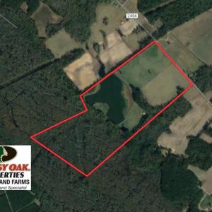 Photo of SOLD!!  187 Acres of Farm and Residential Land For Sale in Robeson County NC!