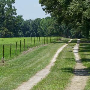 Photo of SOLD!!  187 Acres of Farm and Residential Land For Sale in Robeson County NC!