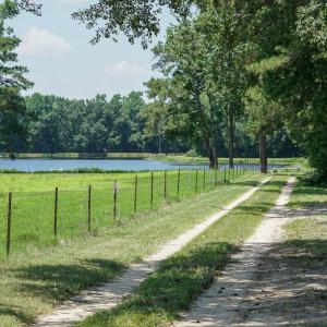 Photo of SOLD!!  187 Acres of Farm and Residential Land For Sale in Robeson County NC!