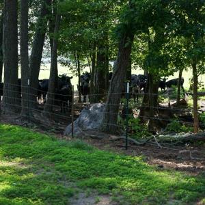 Photo of SOLD!!  187 Acres of Farm and Residential Land For Sale in Robeson County NC!
